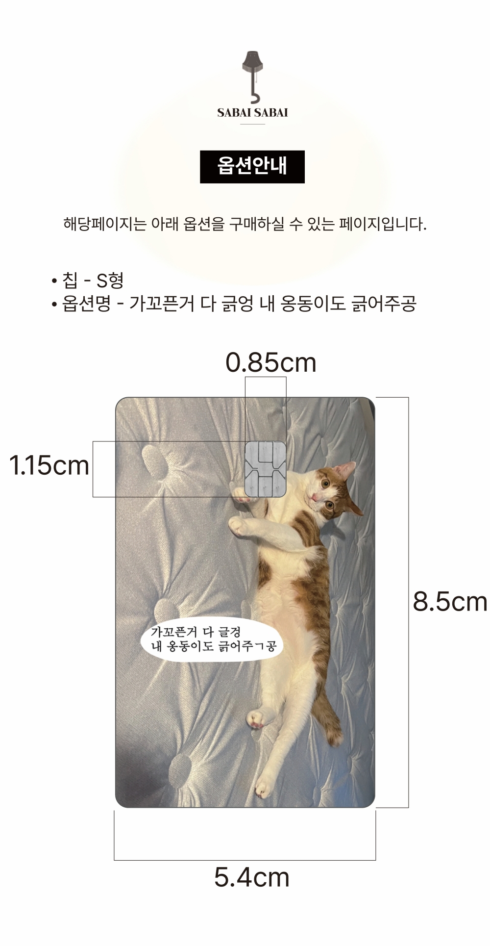 S칩 - 가꼬픈거 다 긁엉 카드 커버 스티커 상세 이미지 1