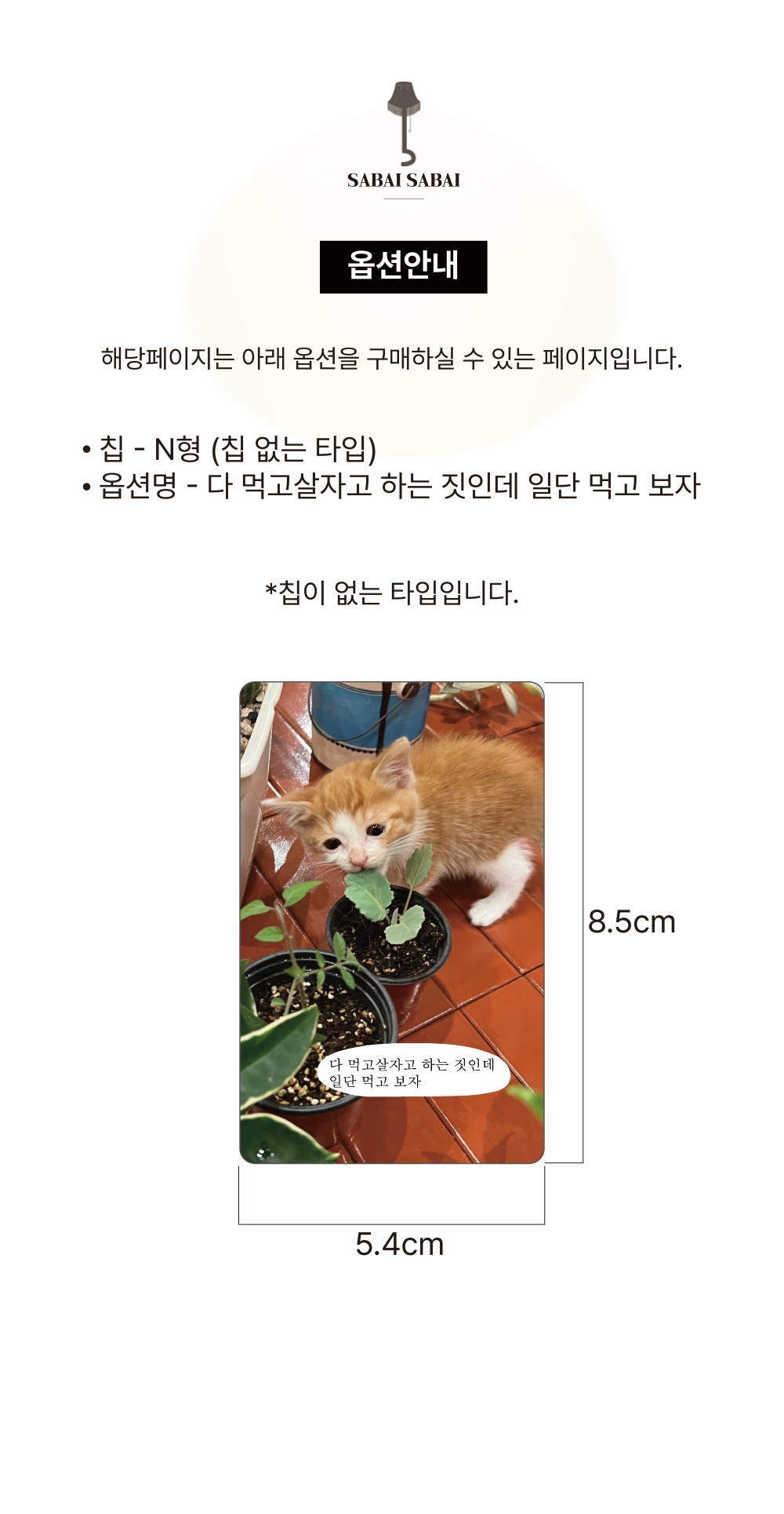 N칩 - 다 먹고살자고 하는 짓인데 카드 커버 스티커 상세 이미지 1