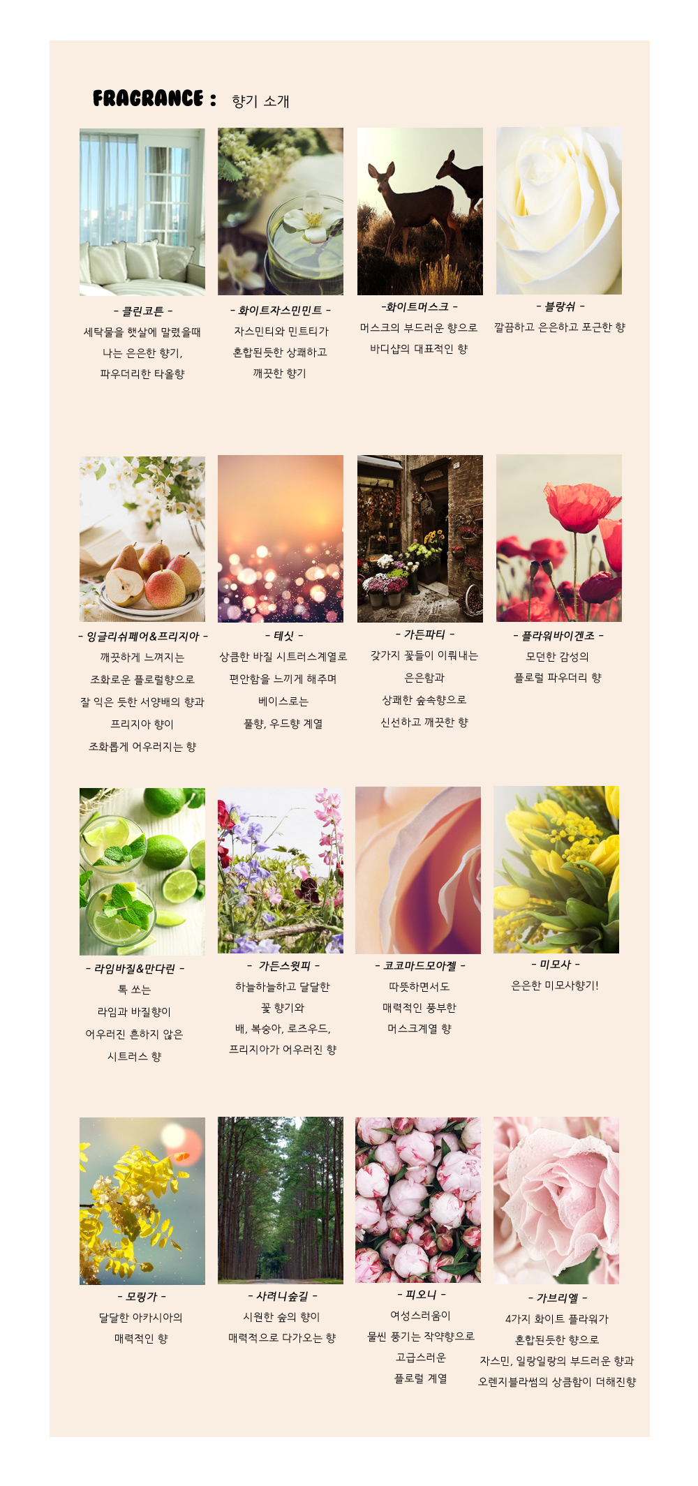 [어버이날, 스승의날 기념일 선물] 카네이션 석고방향제 상세 이미지 5