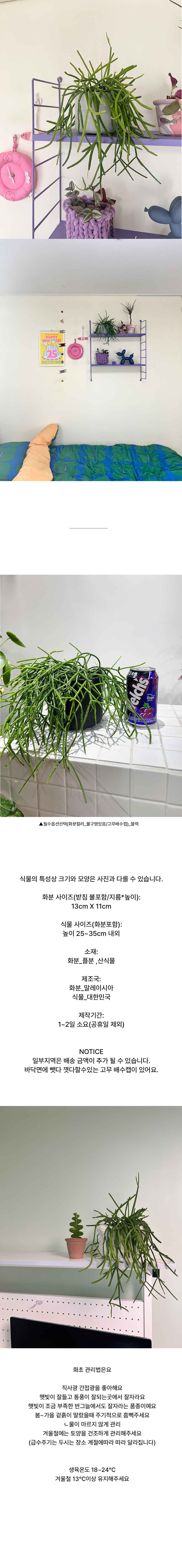 립살리스 관리가 쉬운 감성화분-저면관수 원통플분M 상세 이미지 5