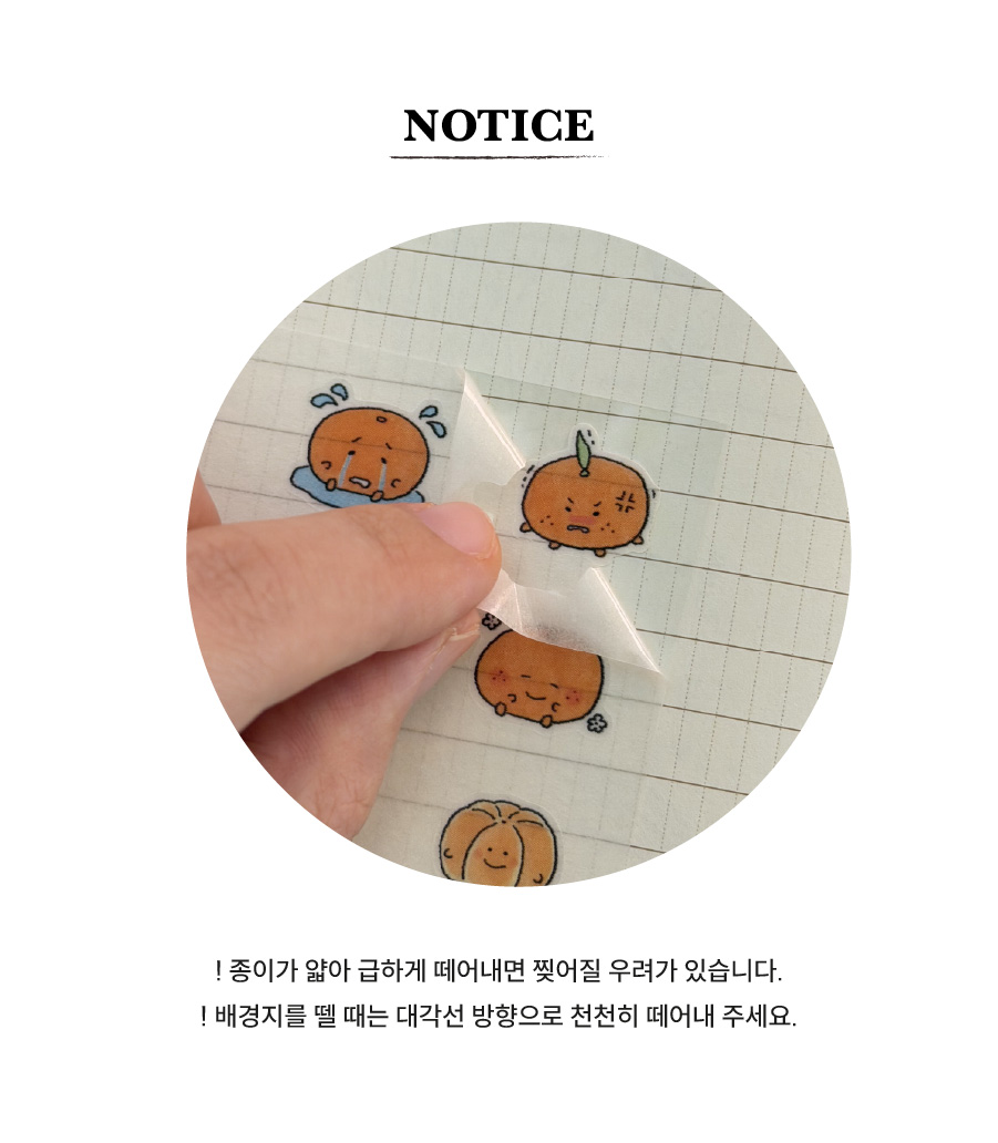 [단단라이프] 쌔그러운 귤 스티커 상세 이미지 4