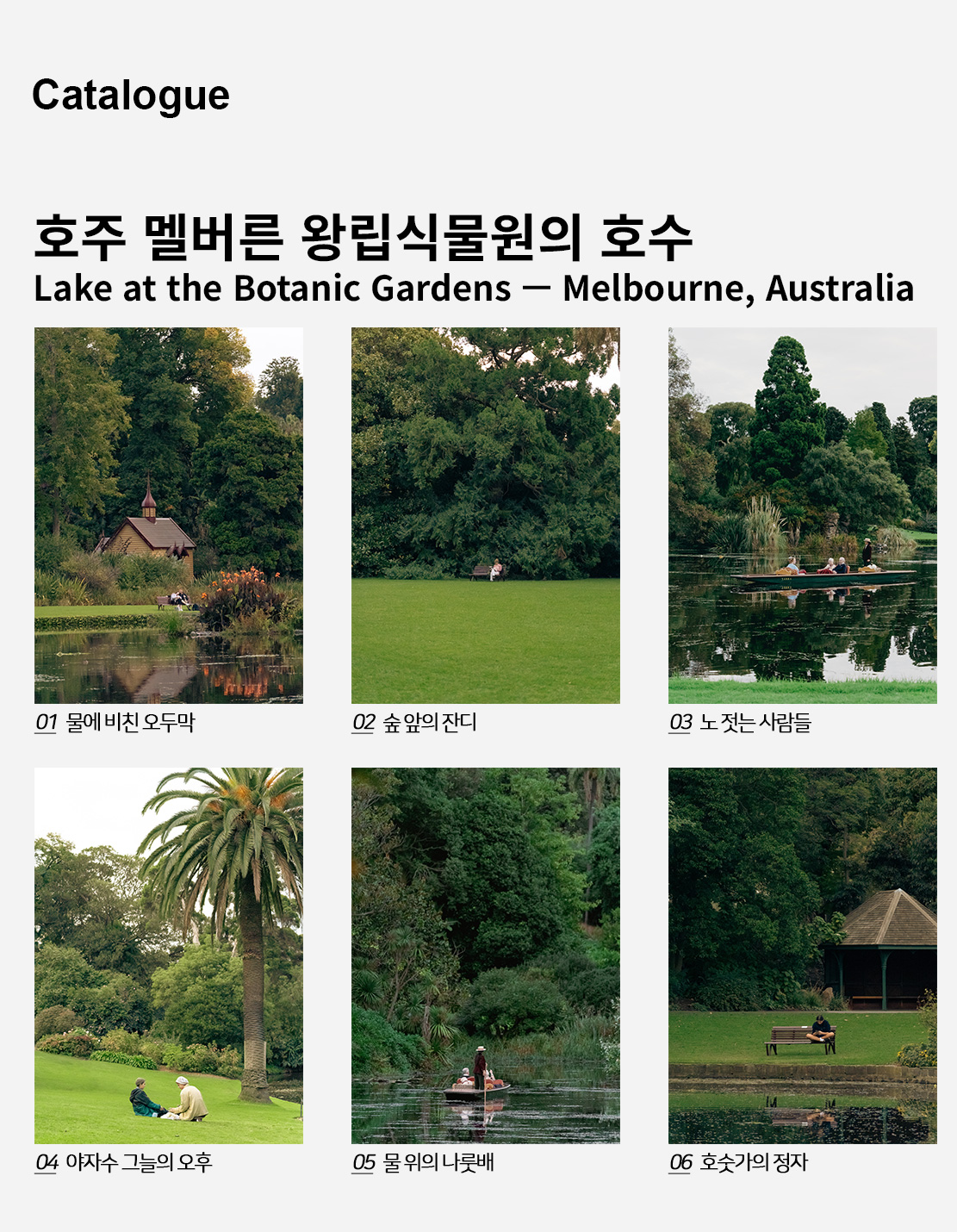 직접 찍은 호주 멜버른 왕립식물원의 호수 인테리어 포스터 6종 상세 이미지 2