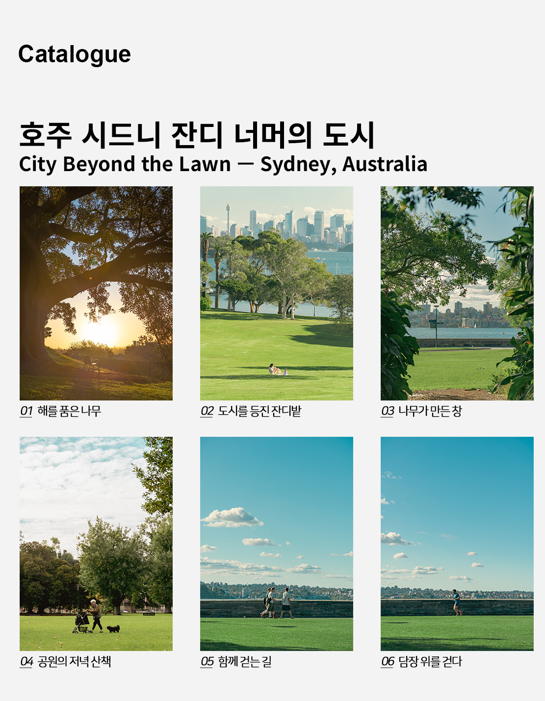 직접 찍은 호주 시드니 잔디 너머의 도시 인테리어 포스터 6종 상세 이미지 2