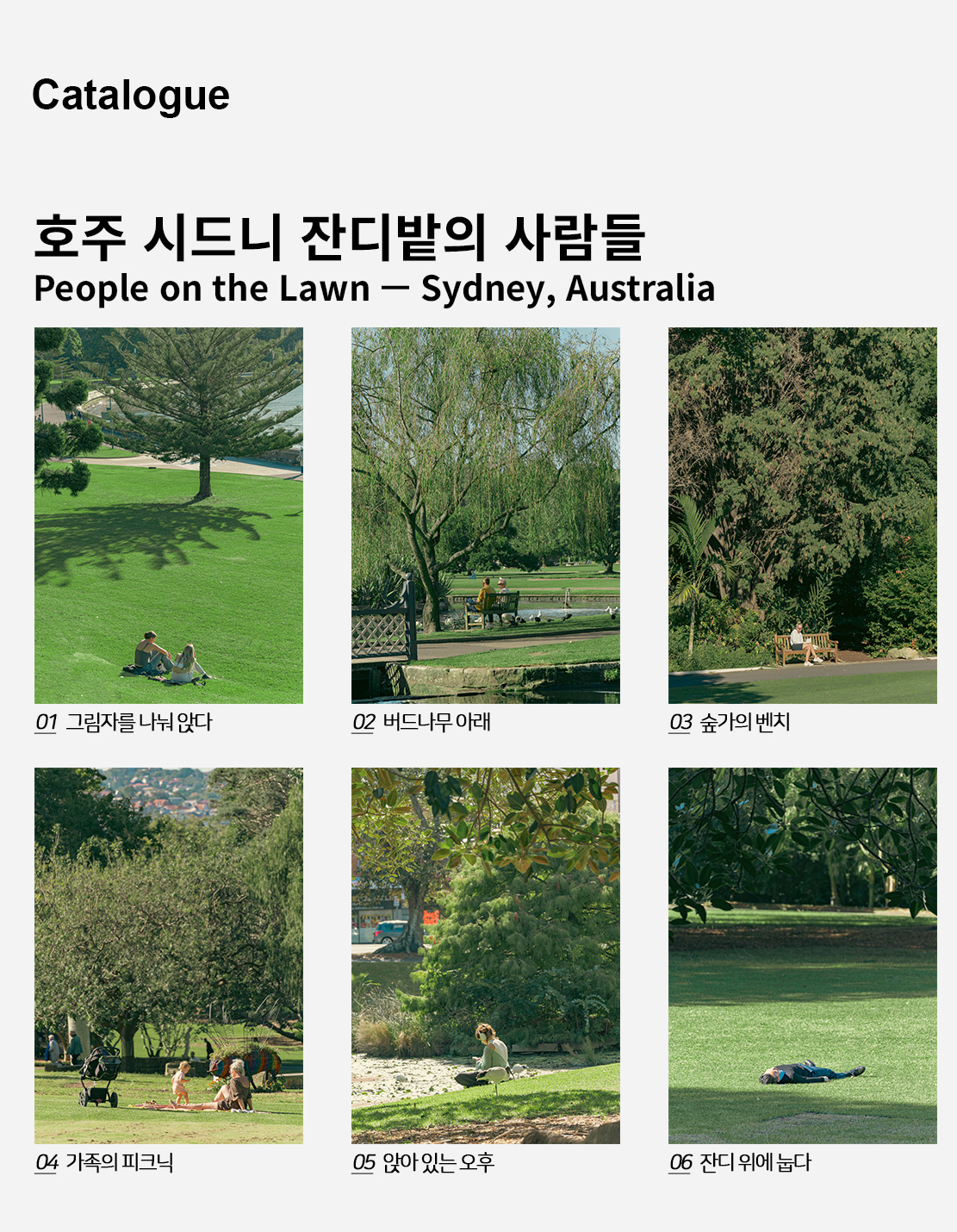 직접 찍은 호주 시드니 잔디밭의 사람들 인테리어 포스터 6종 상세 이미지 2
