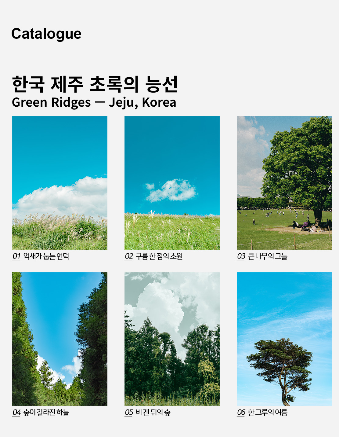 직접 찍은 한국 제주 초록의 능선 인테리어 포스터 6종 상세 이미지 2