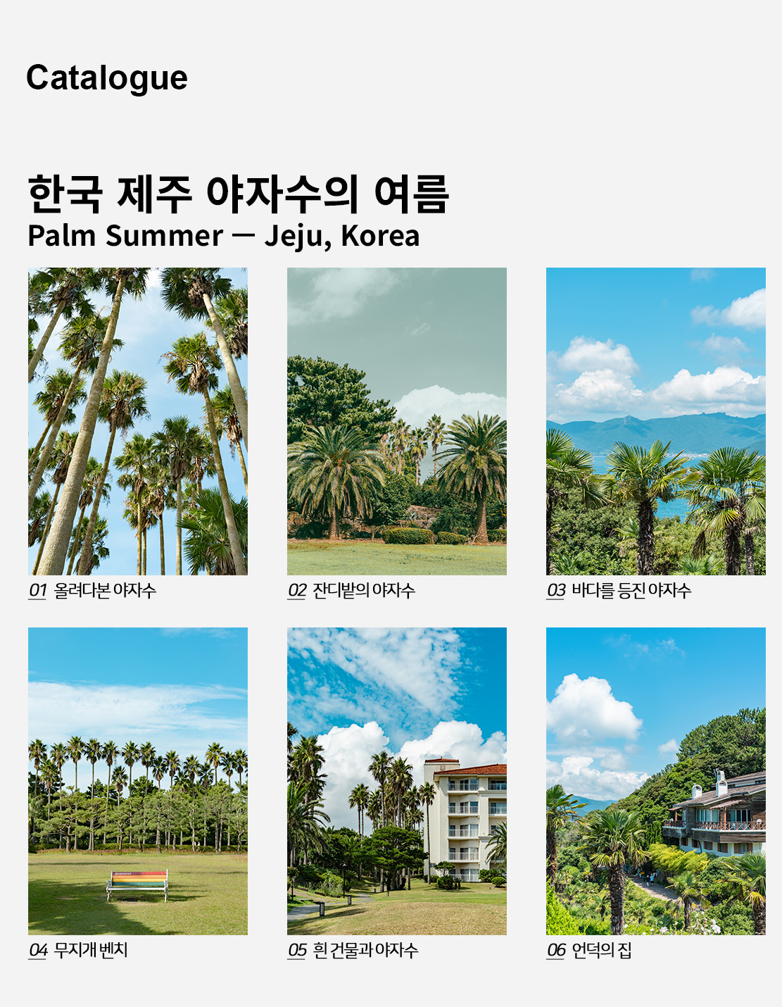 직접 찍은 한국 제주 야자수의 여름 인테리어 포스터 6종 상세 이미지 2