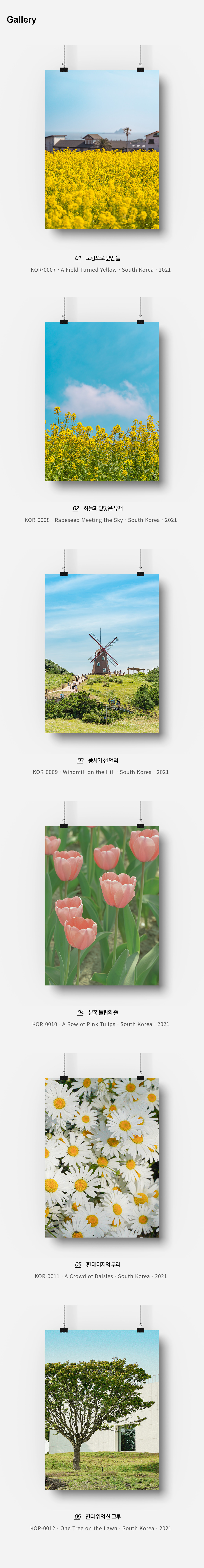 직접 찍은 한국 제주 유채와 봄 인테리어 포스터 6종 상세 이미지 3
