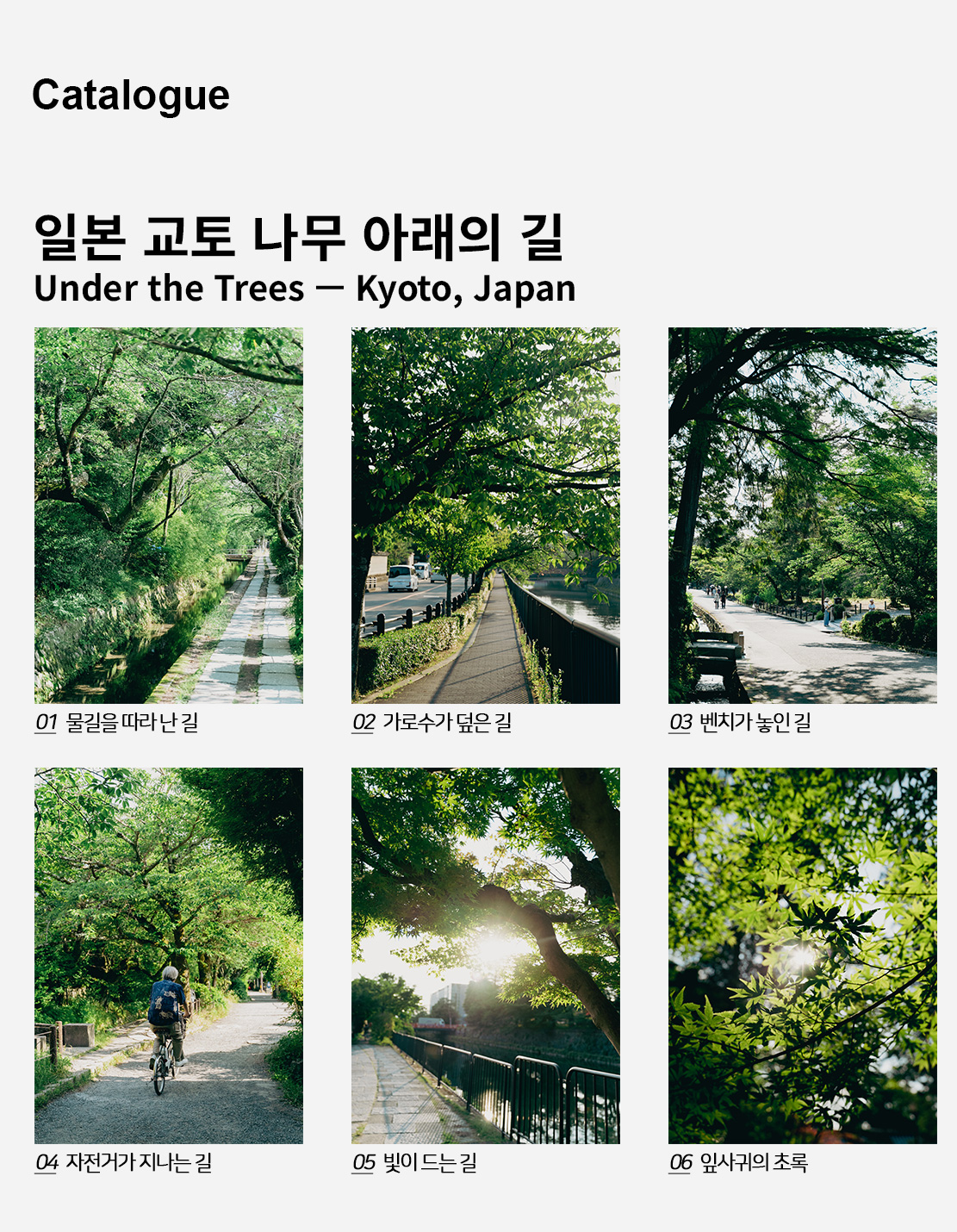 직접 찍은 일본 교토 나무 아래의 길 인테리어 포스터 6종 상세 이미지 2