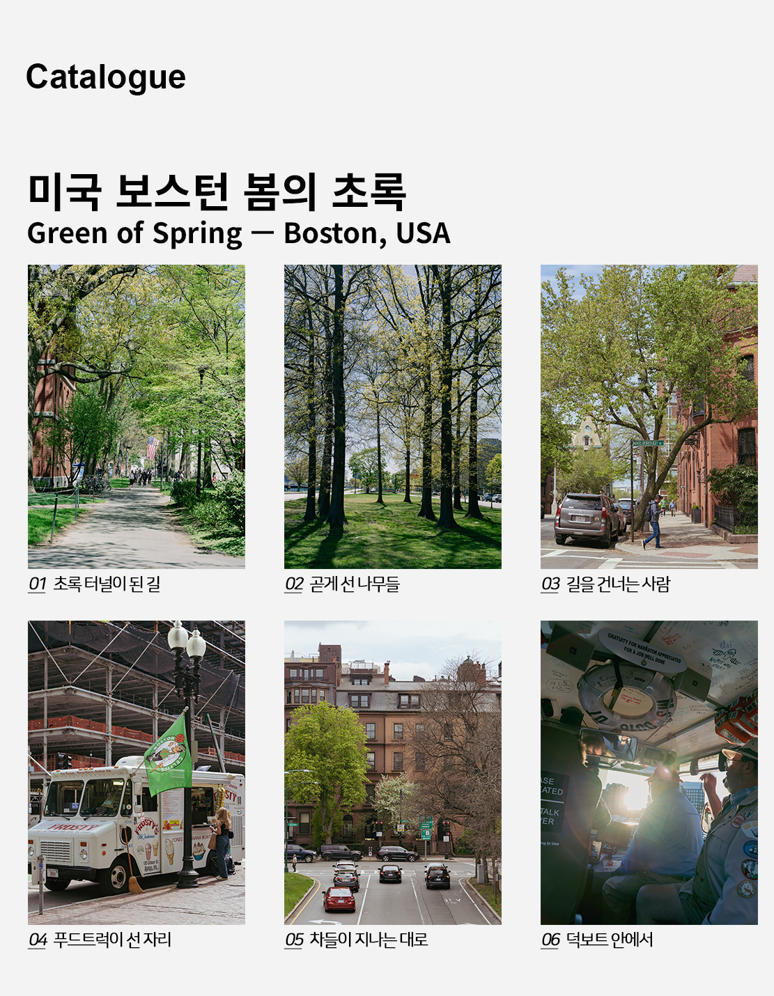 직접 찍은 미국 보스턴 봄의 초록 인테리어 포스터 6종 상세 이미지 2