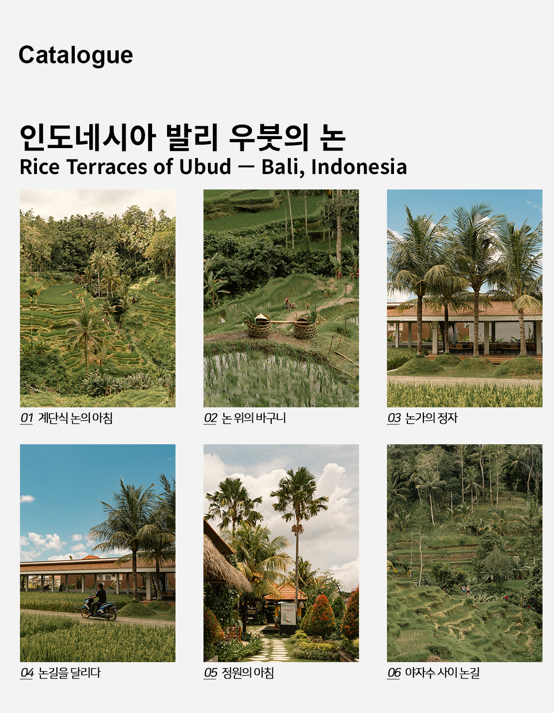 직접 찍은 인도네시아 발리 우붓의 논 인테리어 포스터 6종 상세 이미지 2
