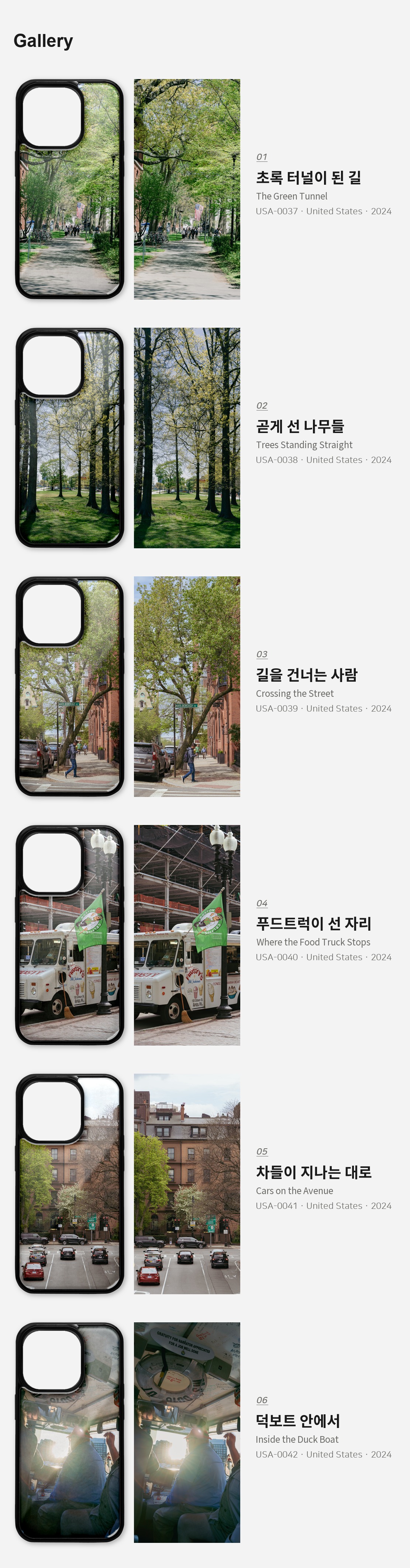 직접 찍은 미국 보스턴 봄의 초록 아이폰케이스 6종 상세 이미지 3