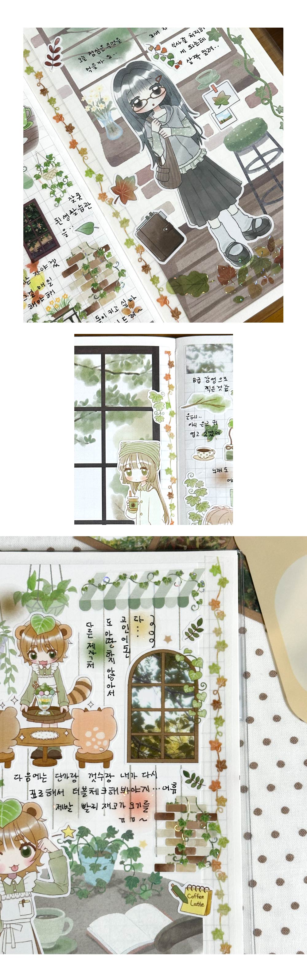 단풍 담쟁이 마테 상세 이미지 2
