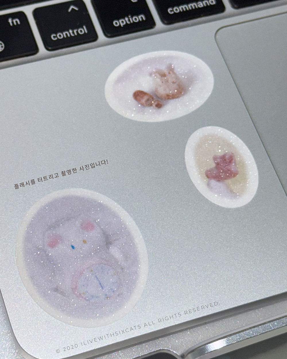 [스티커] 식스캣츠 요정가루 : SIX CATS fairy dust sticker! 상세 이미지 3