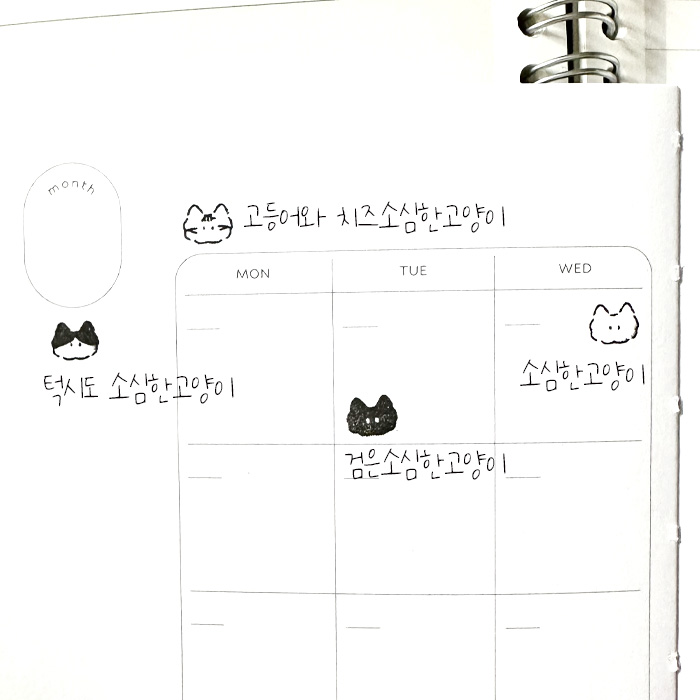 띵똥 쪼꼬미 소심한고양이 만능자동스탬프 4종 상세 이미지 1