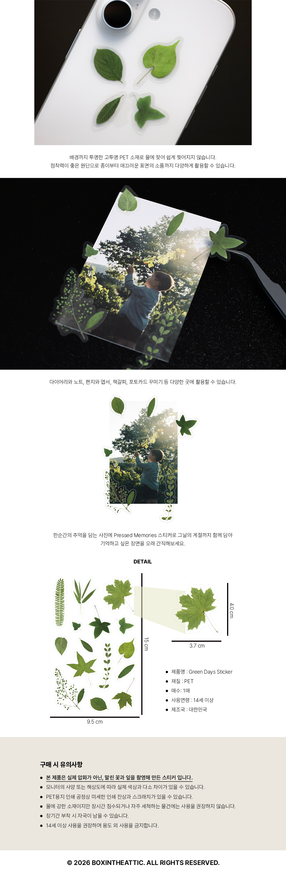압화 식물 다꾸 나뭇잎 스티커 Green Days Sticker 상세 이미지 2