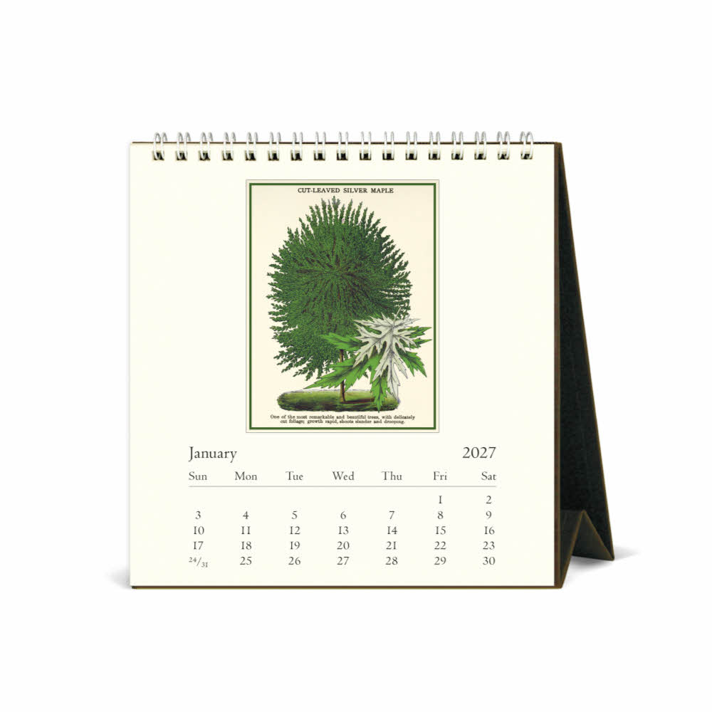 2027데스크캘린더 Arboretum 상세 이미지 4
