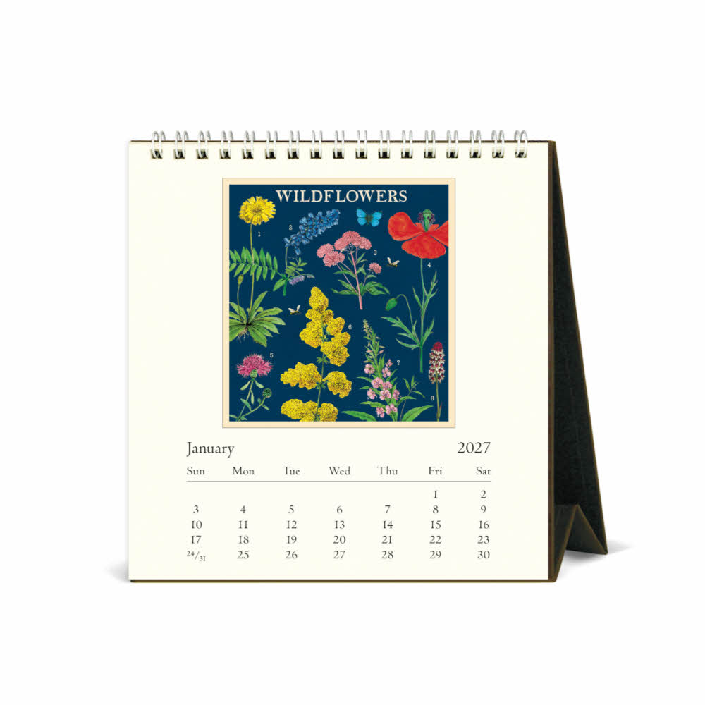 2027데스크캘린더 Wildflowers 상세 이미지 4