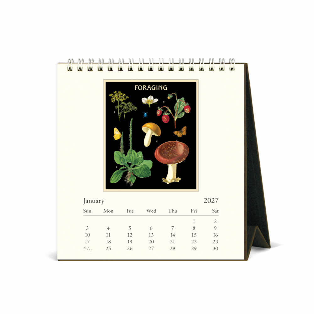 2027데스크캘린더 Foraging 상세 이미지 4