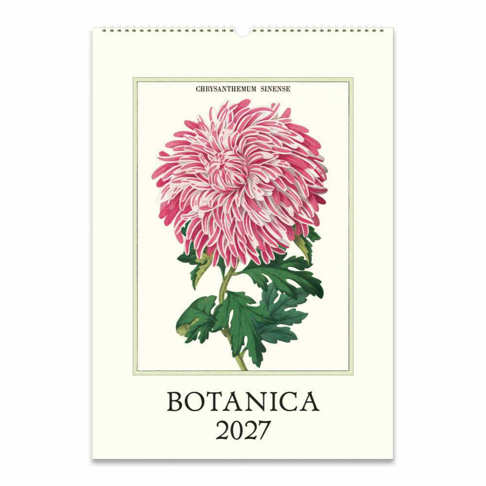 2027카발리니캘린더 Botanica 상세 이미지 2