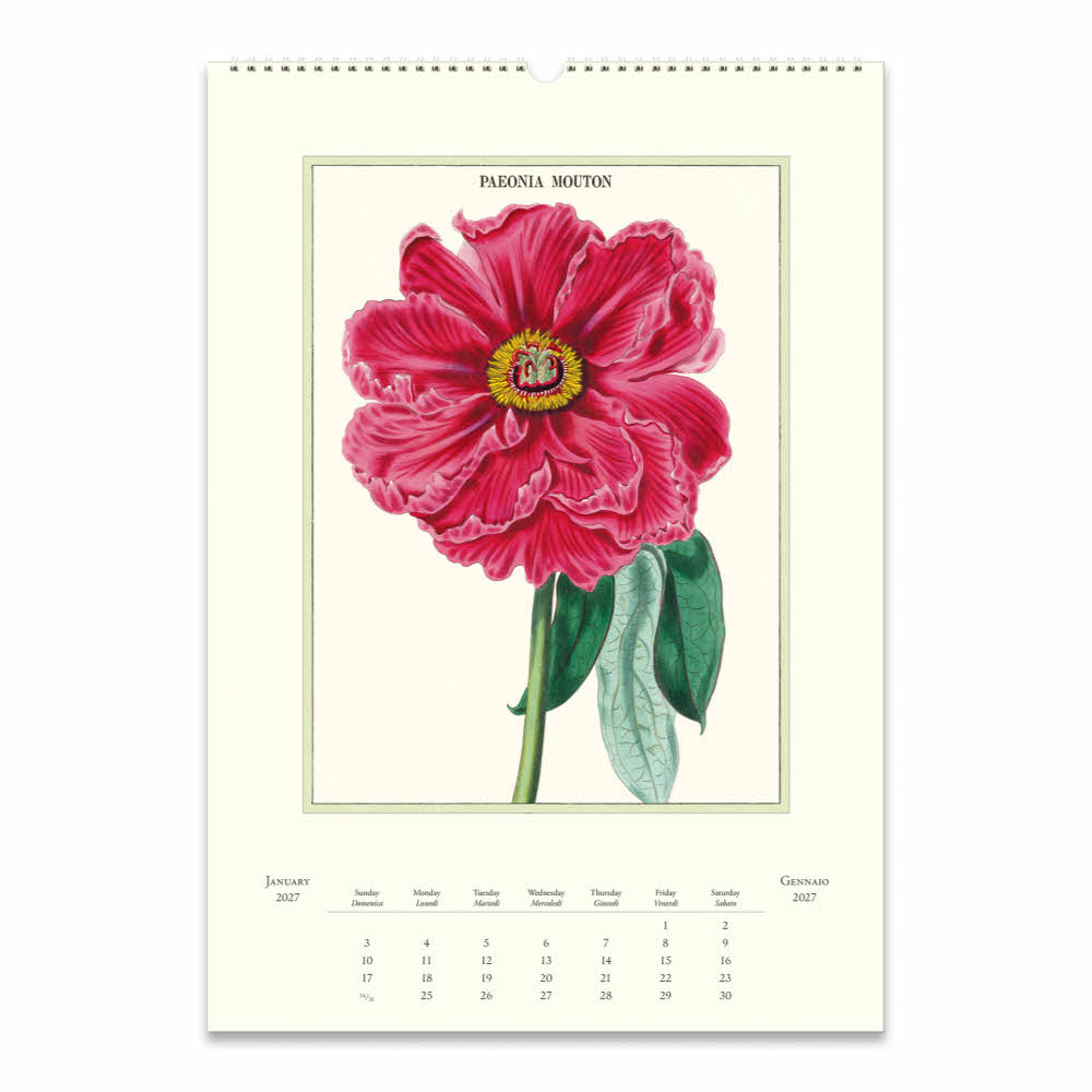 2027카발리니캘린더 Botanica 상세 이미지 4