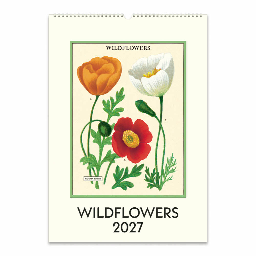 2027카발리니캘린더 Wildflowers 상세 이미지 2