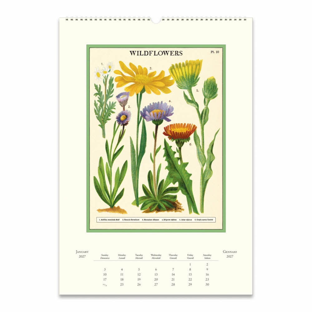 2027카발리니캘린더 Wildflowers 상세 이미지 4