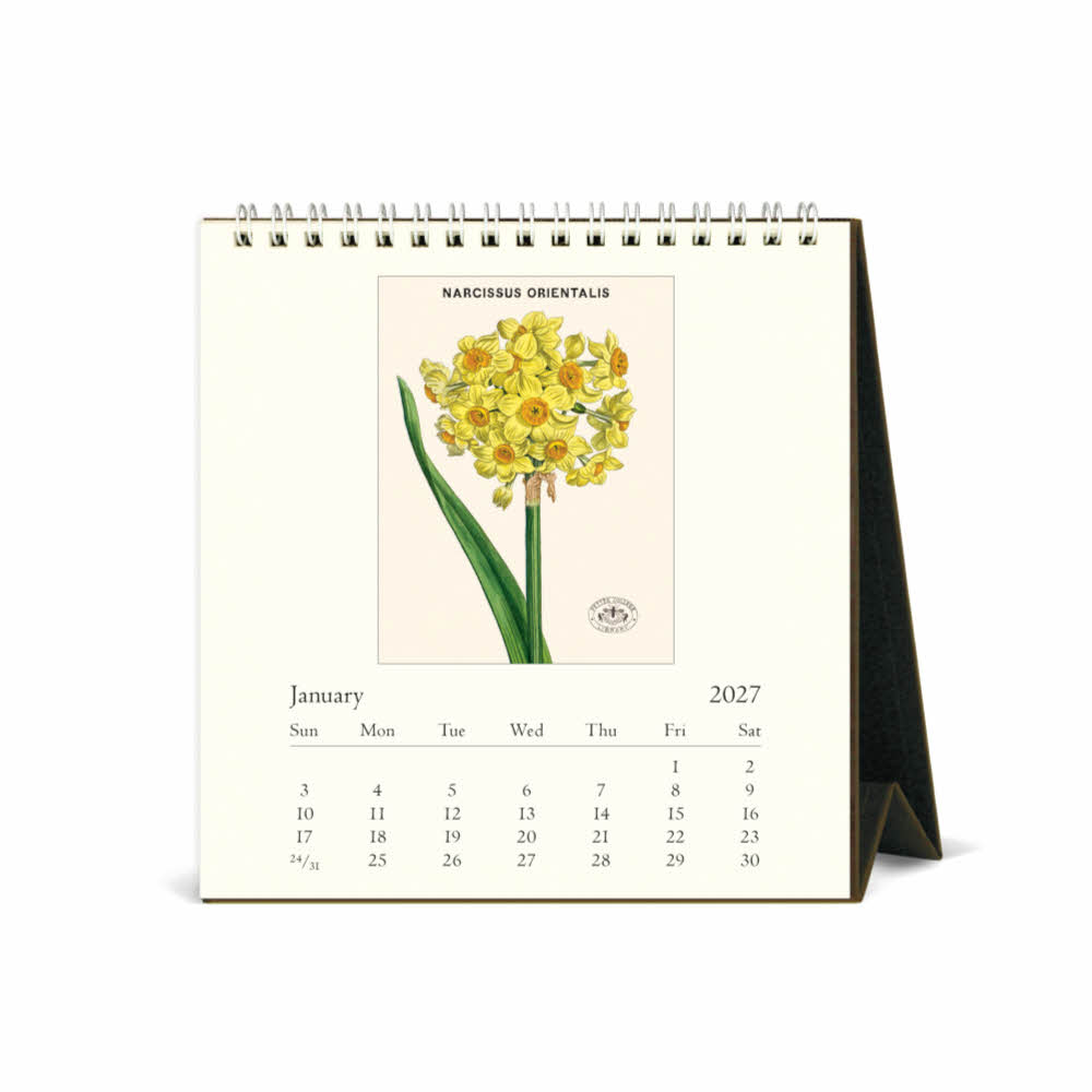 2027데스크캘린더 Botanica 상세 이미지 4