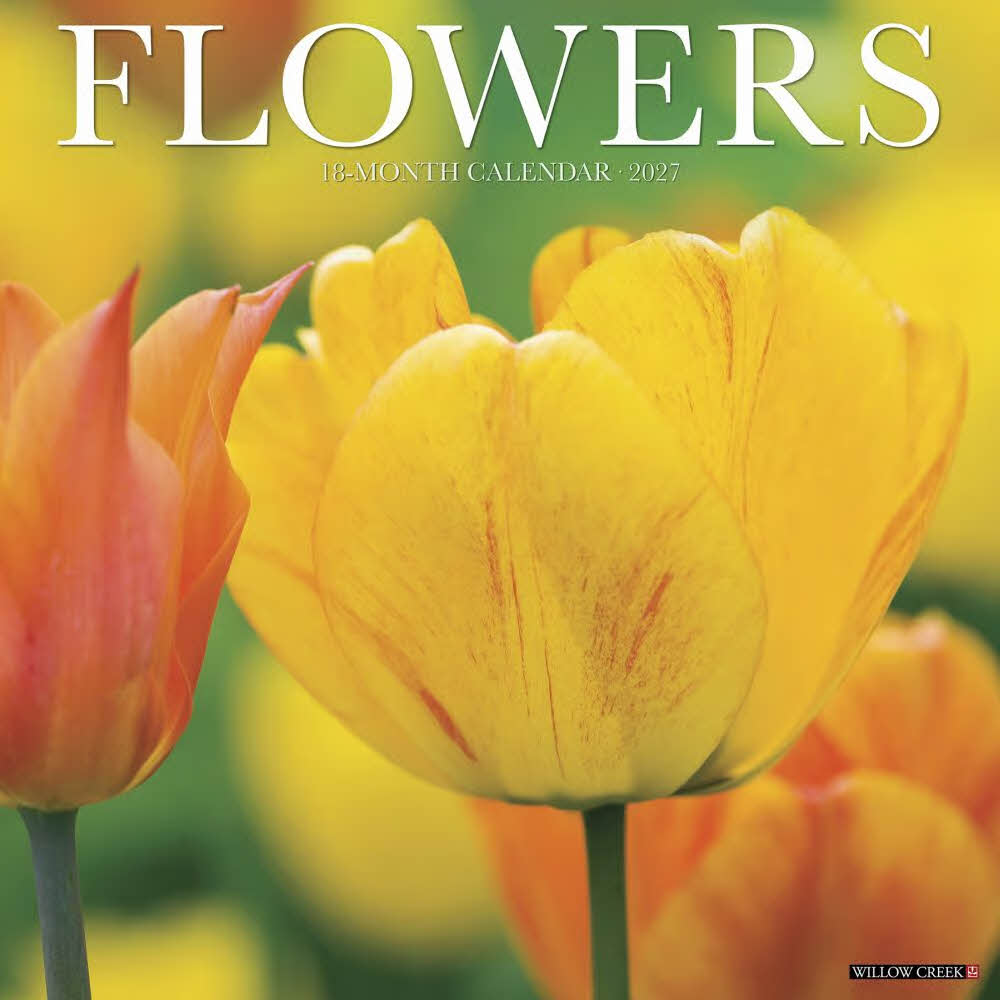 2027년 캘린더 Flowers 상세 이미지 2