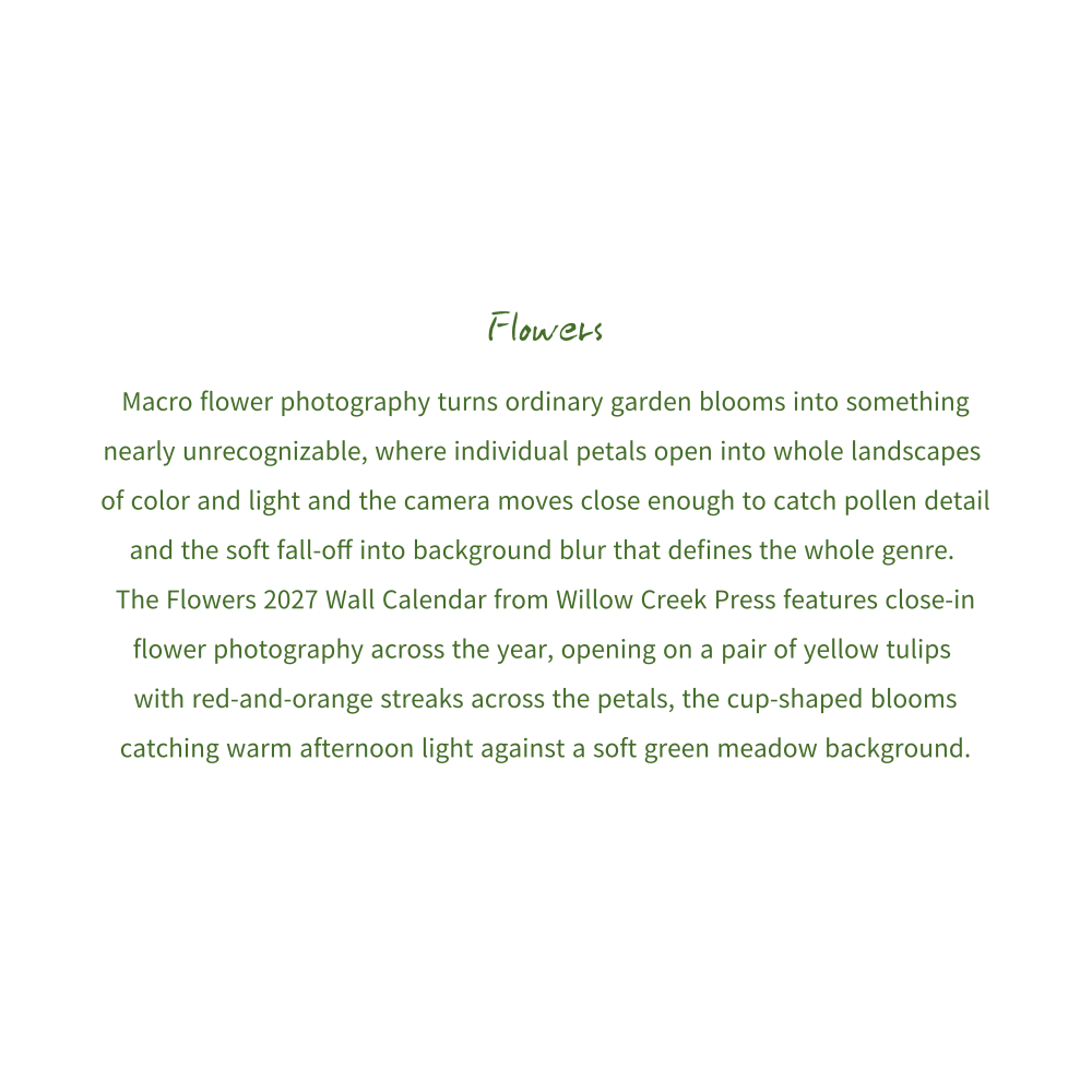 2027년 캘린더 Flowers 상세 이미지 3