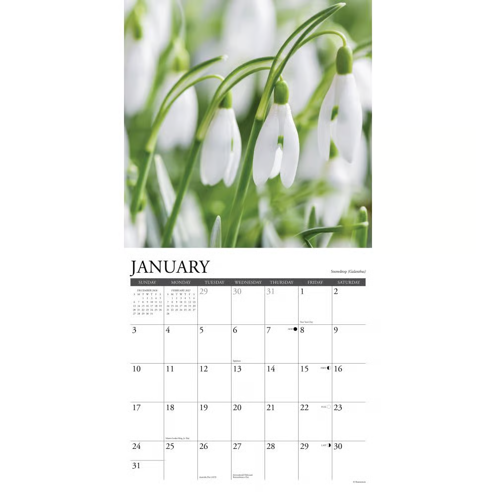 2027년 캘린더 Flowers 상세 이미지 4