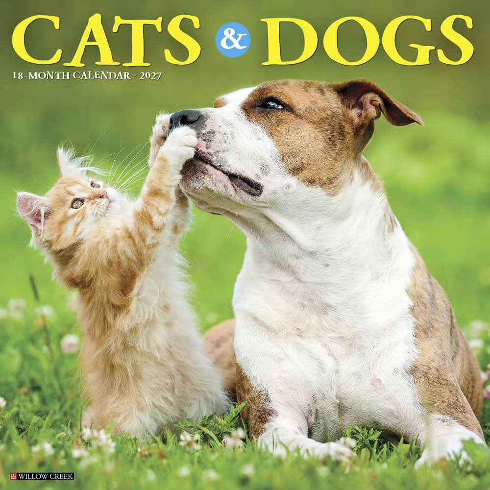 2027년 캘린더 Cats & Dogs 상세 이미지 2