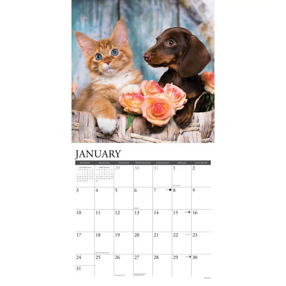 2027년 캘린더 Cats & Dogs 상세 이미지 4