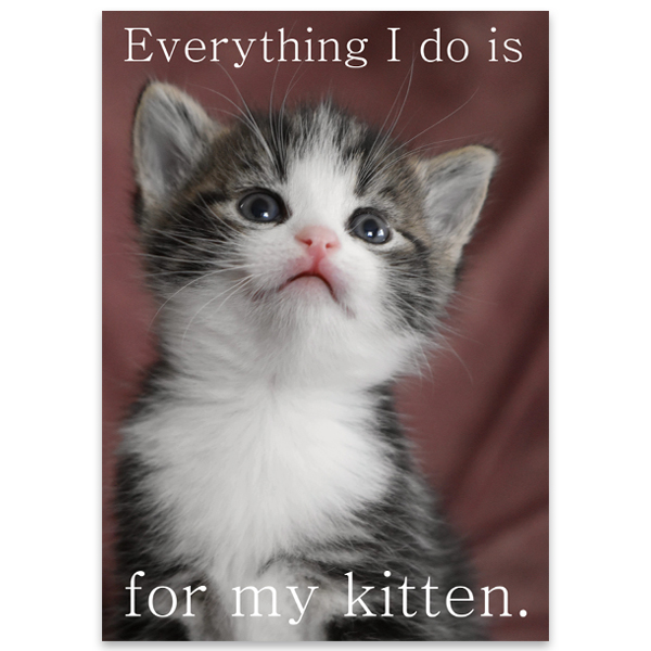 For my kitten - A3 Poster 상세 이미지 1