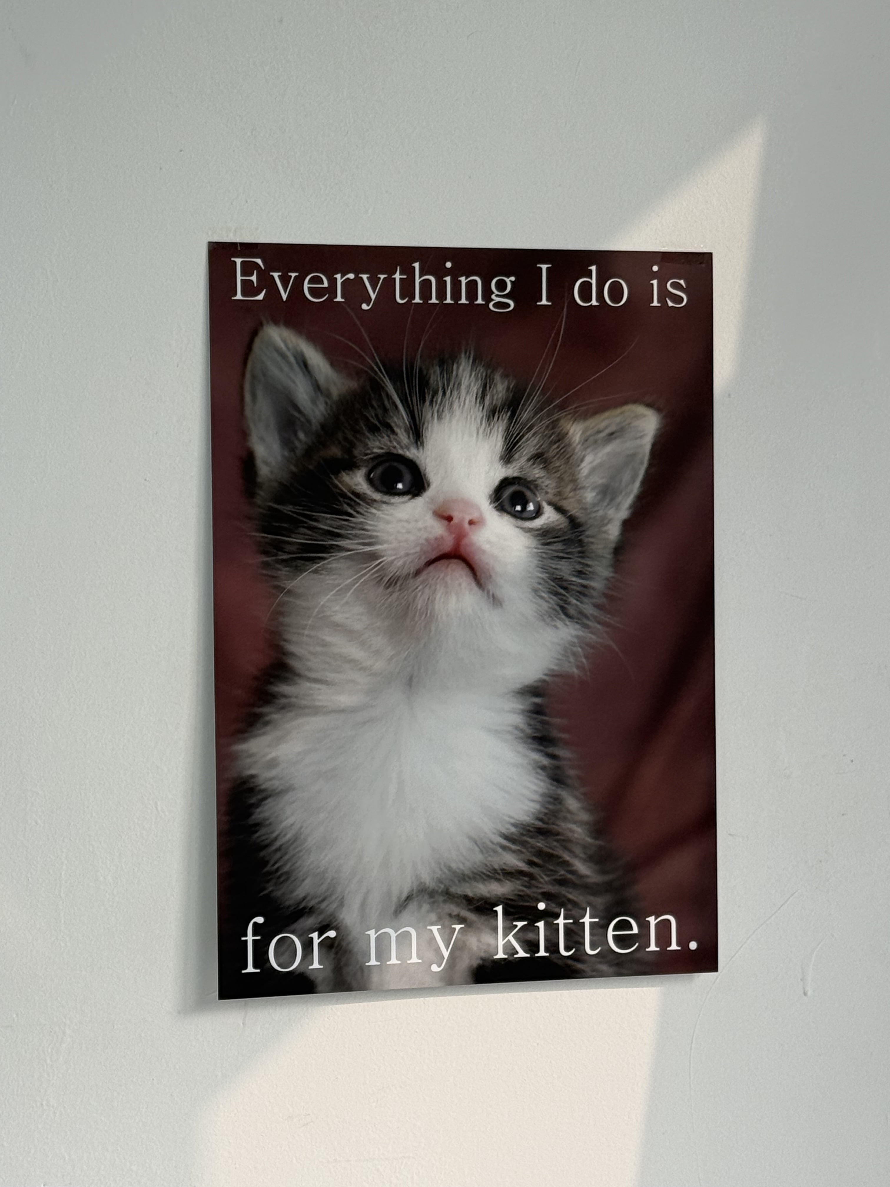 For my kitten - A3 Poster 상세 이미지 2