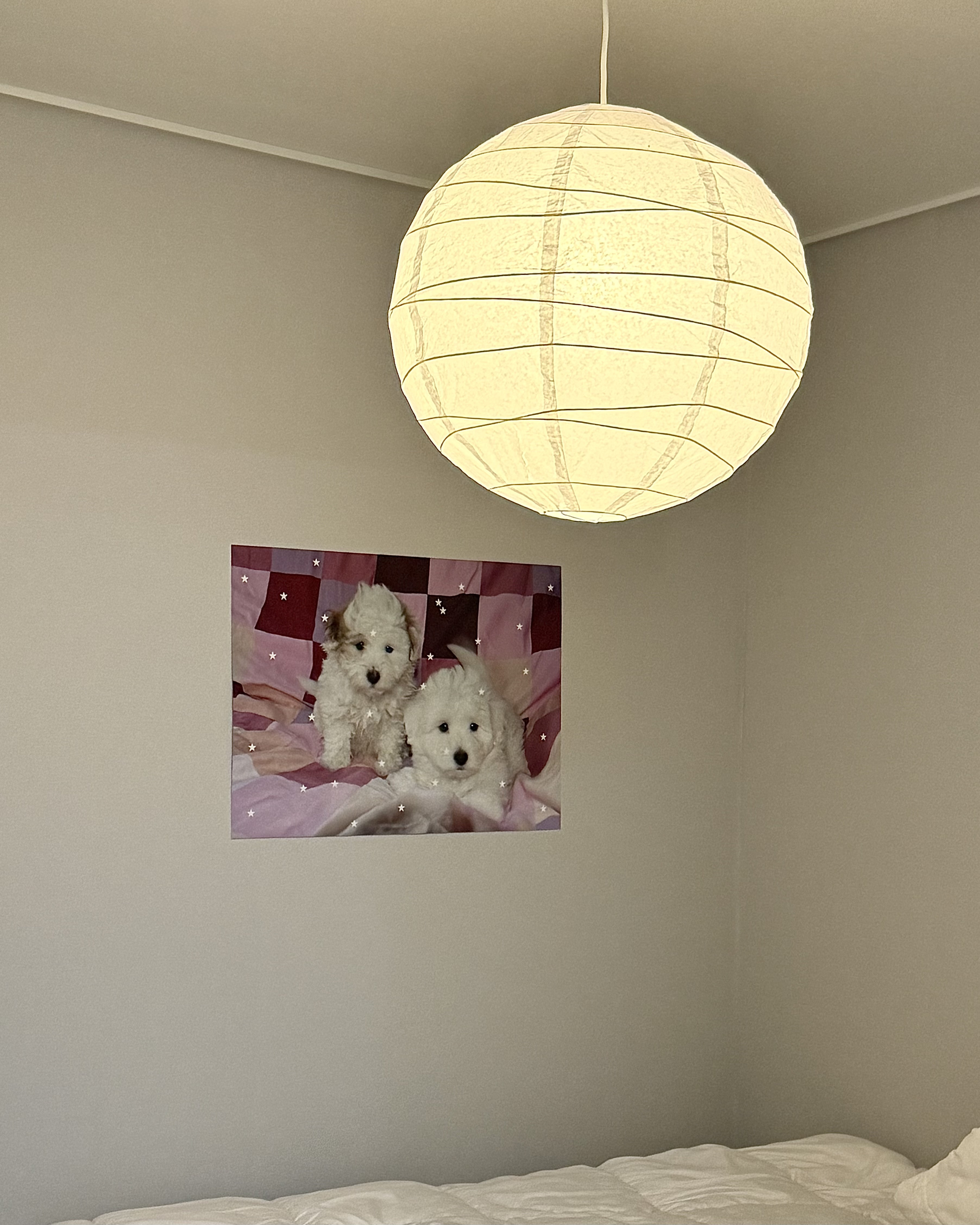 FLUFFY BABIES - 70 x 50 Poster 상세 이미지 2