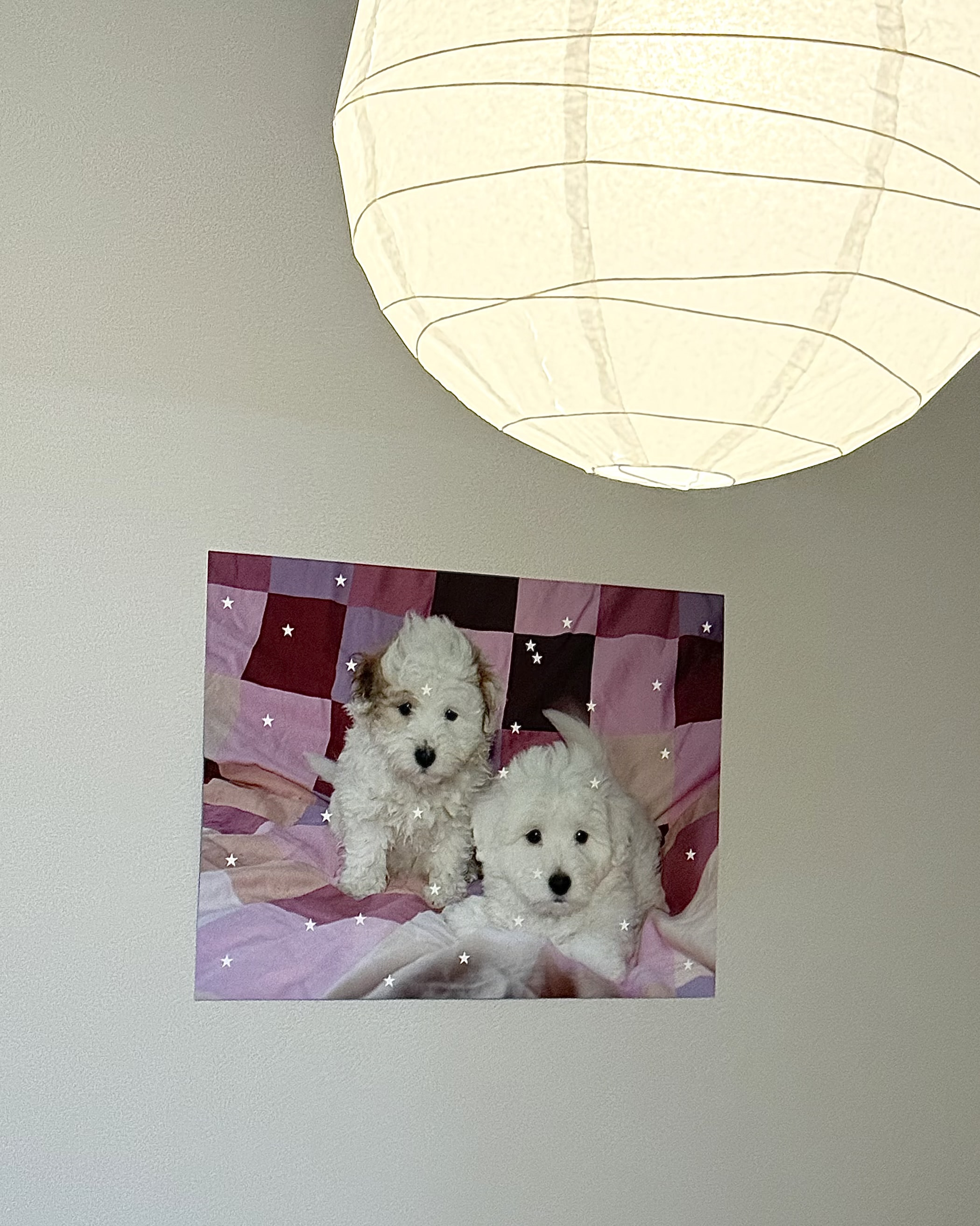FLUFFY BABIES - 70 x 50 Poster 상세 이미지 3