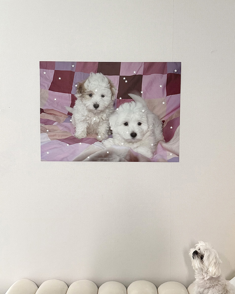 FLUFFY BABIES - 70 x 50 Poster 상세 이미지 5