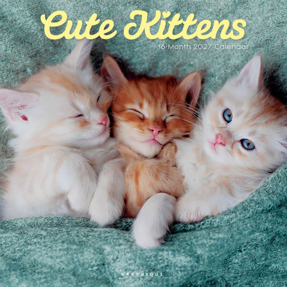 2027년 캘린더 Cute Kittens 상세 이미지 2