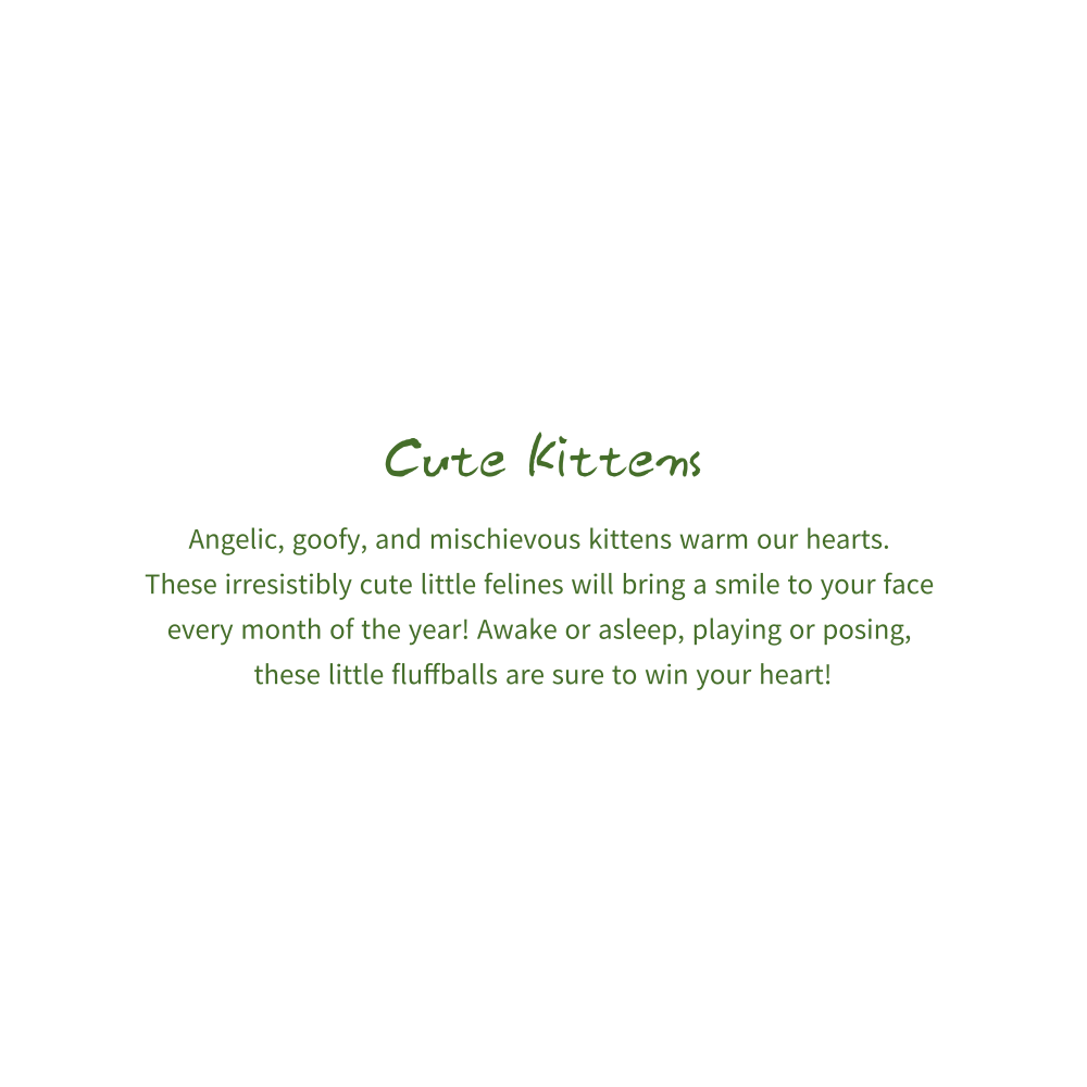 2027년 캘린더 Cute Kittens 상세 이미지 3