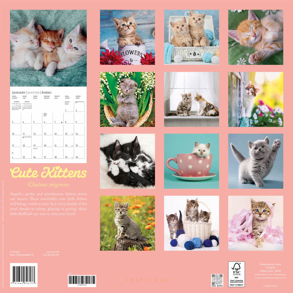 2027년 캘린더 Cute Kittens 상세 이미지 4