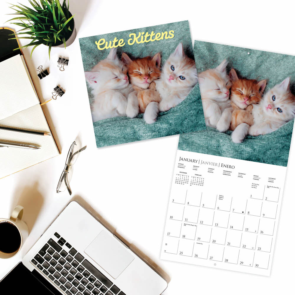 2027년 캘린더 Cute Kittens 상세 이미지 5