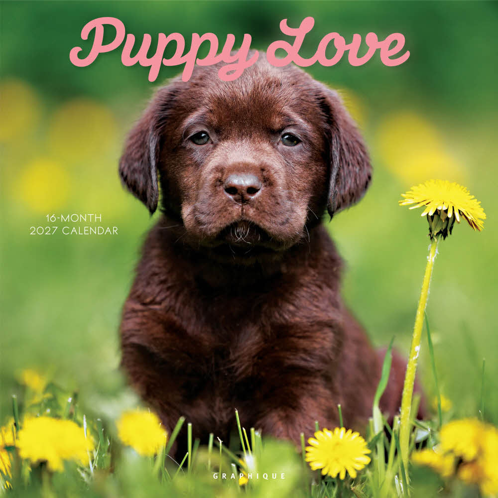 2027년 캘린더 Puppy Love 상세 이미지 2