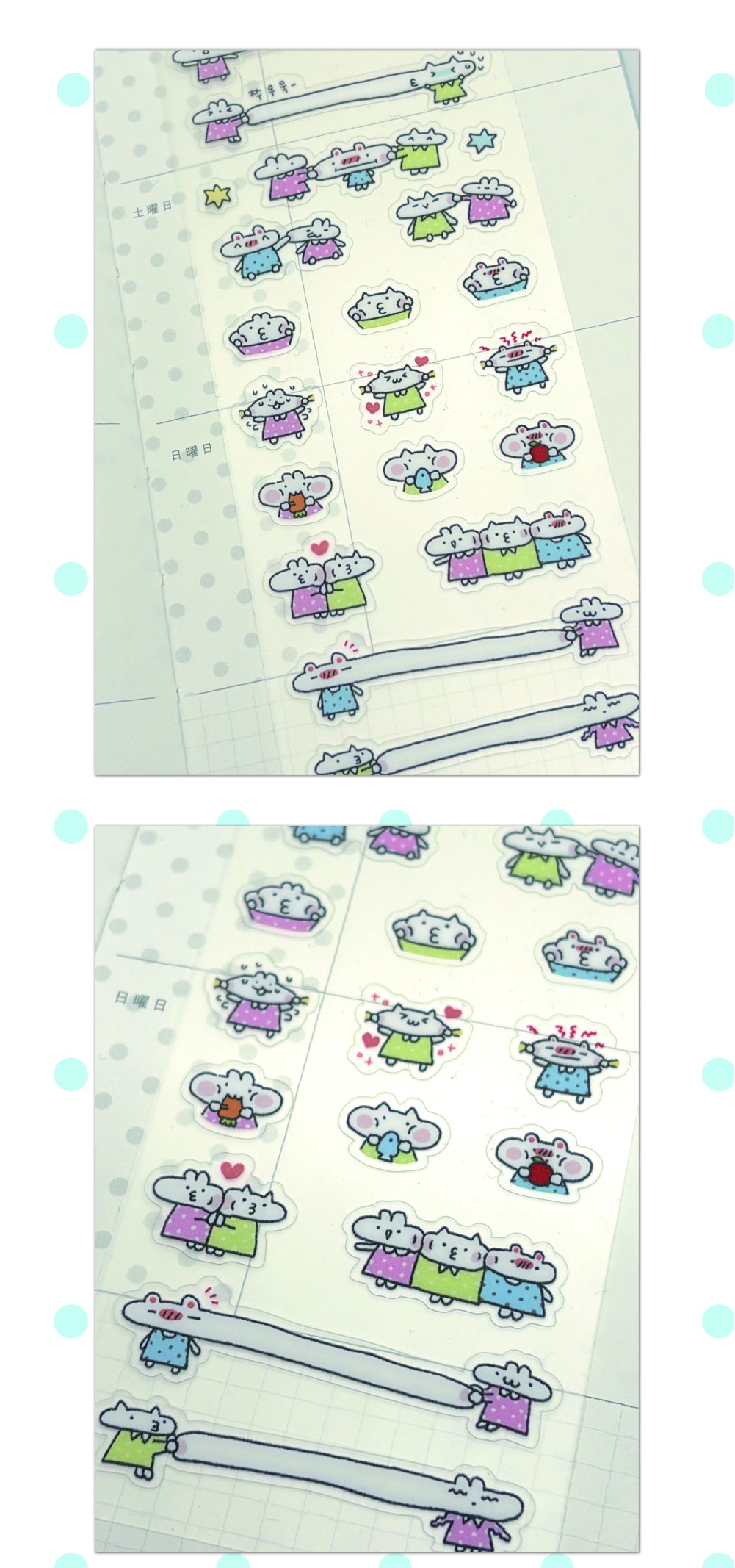 볼꼬~집 상세 이미지 2