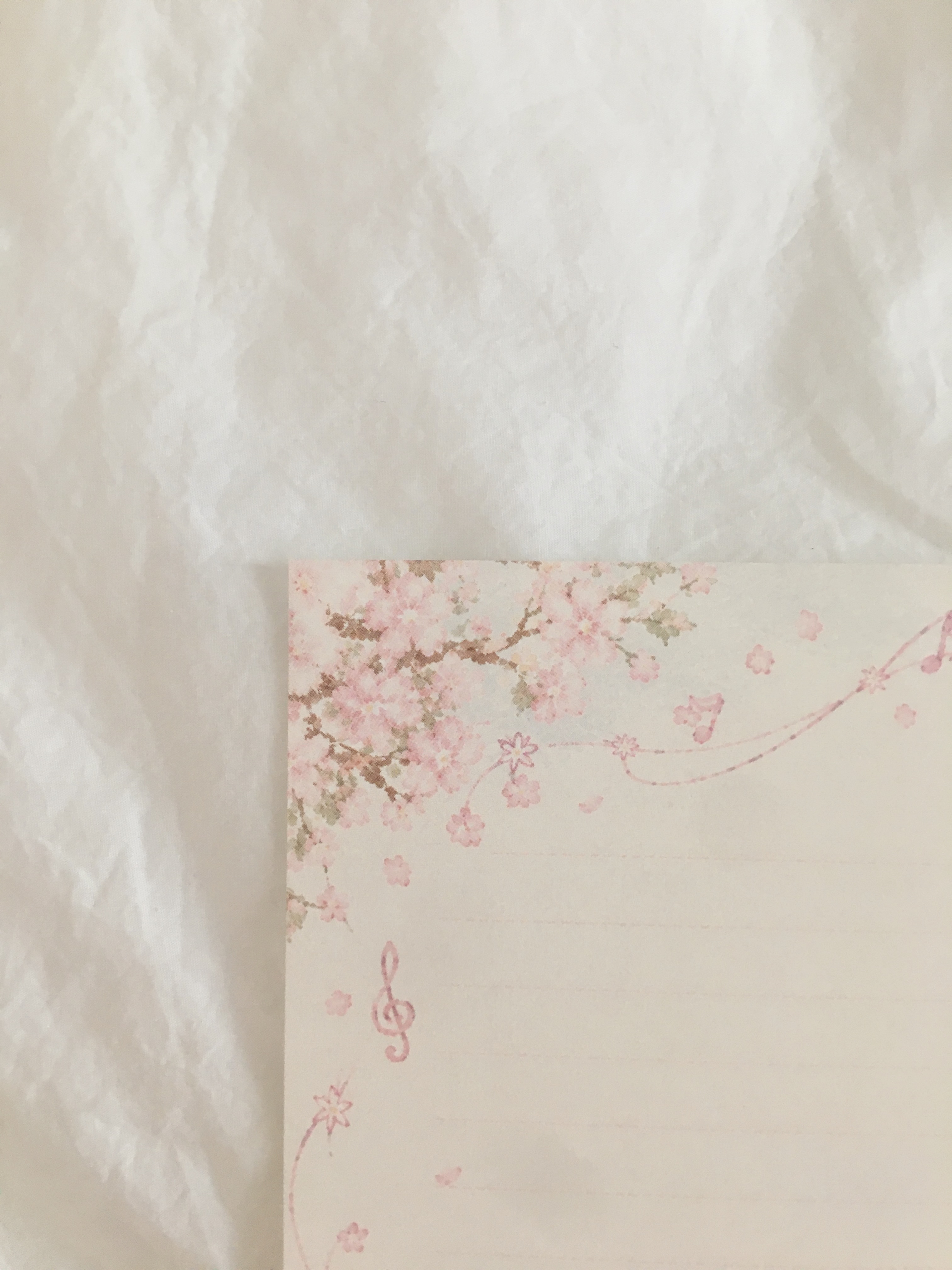벚꽃 소풍 편지 봉투 세트 Cherry Blossom Picnic Letter Set 상세 이미지 5