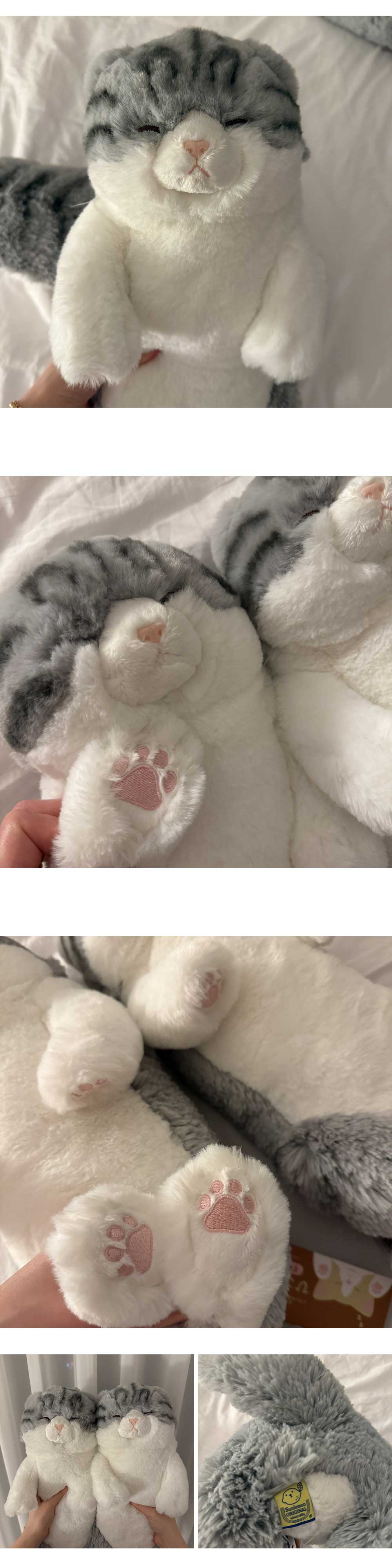 [선레몬] 무릎인형 잠자는 쓰야쓰야 고양이 스코티쉬폴드 애착인형 상세 이미지 2
