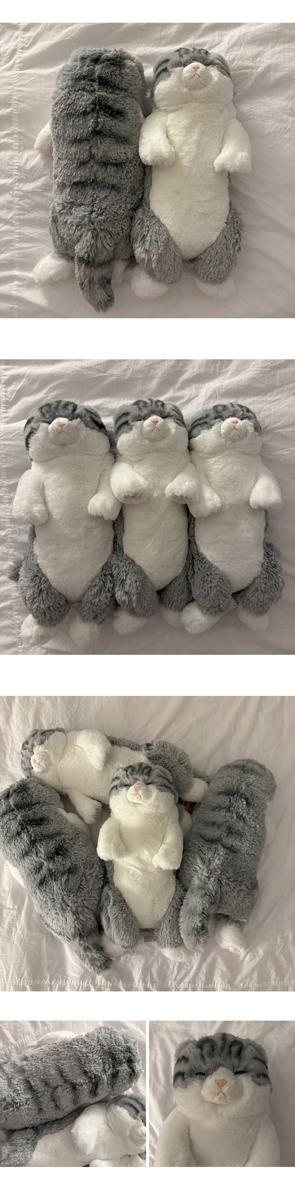 [선레몬] 무릎인형 잠자는 쓰야쓰야 고양이 스코티쉬폴드 애착인형 상세 이미지 3