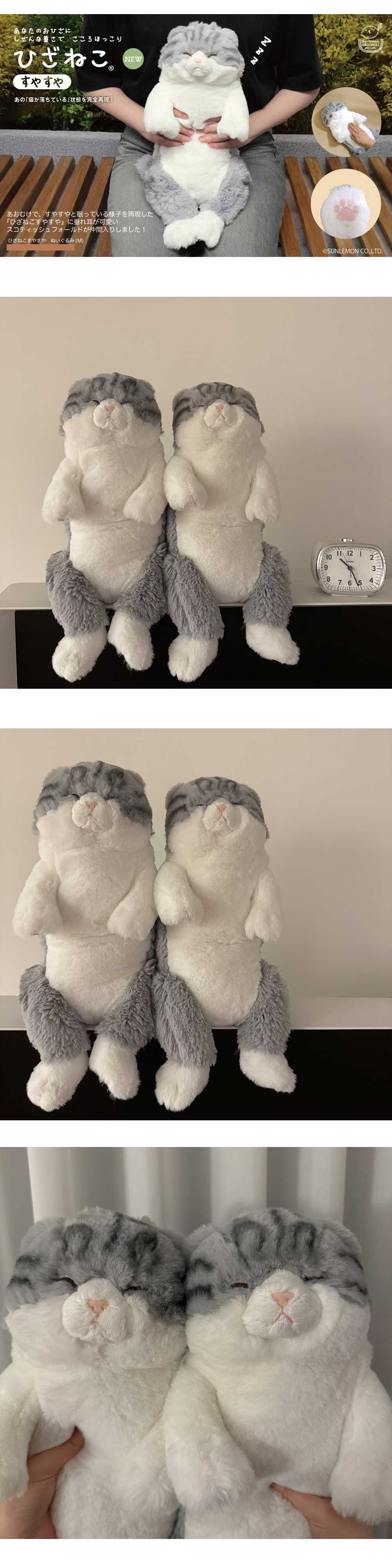 [선레몬] 무릎인형 잠자는 쓰야쓰야 고양이 스코티쉬폴드 애착인형 상세 이미지 4